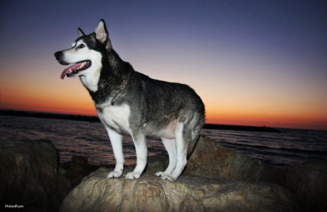 ★写真タイトルB